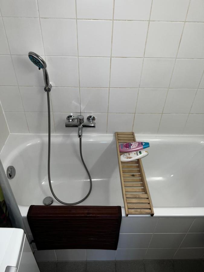 דירות Beautiful Large Studio In Center Of Geneva Free Wifi מראה חיצוני תמונה