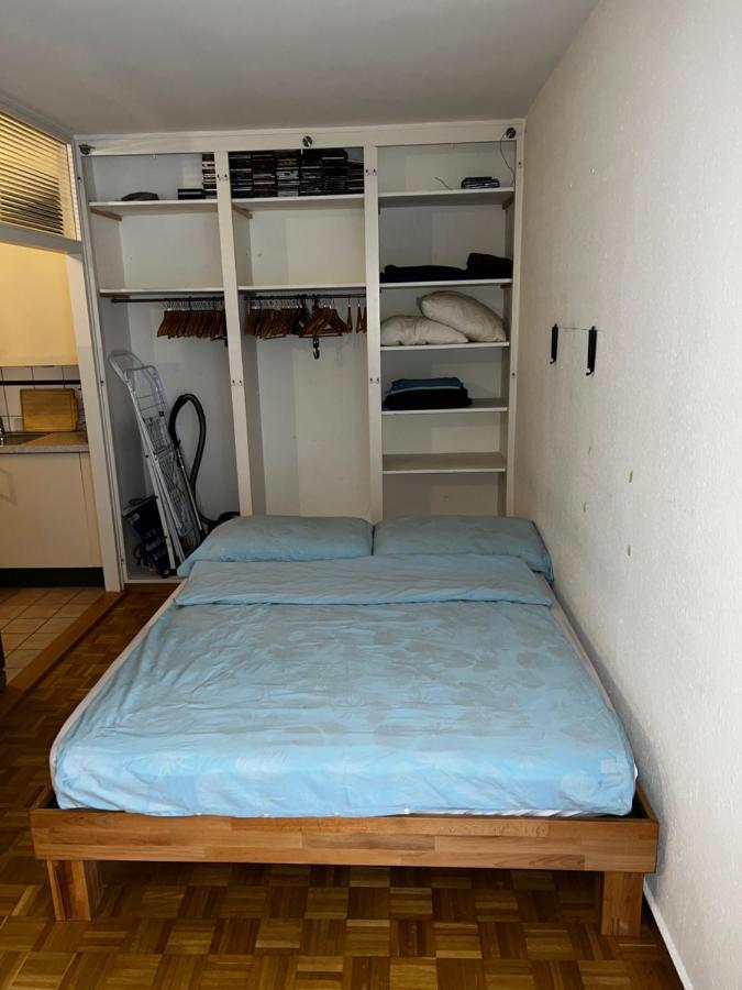 דירות Beautiful Large Studio In Center Of Geneva Free Wifi מראה חיצוני תמונה