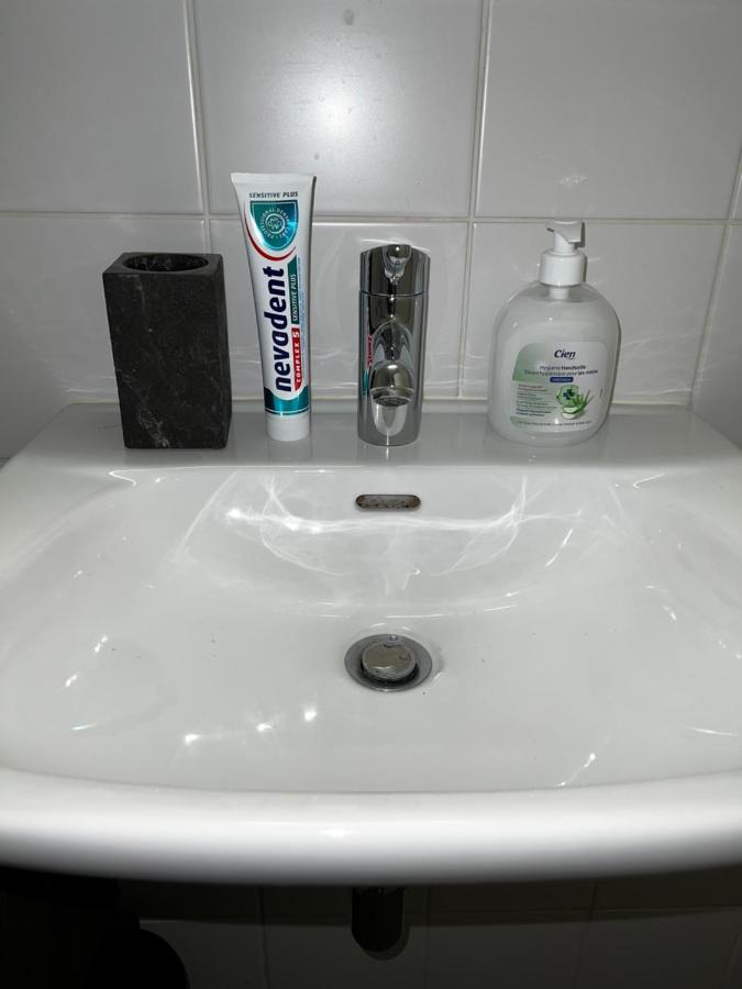דירות Beautiful Large Studio In Center Of Geneva Free Wifi מראה חיצוני תמונה